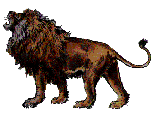 image/Barbary lion