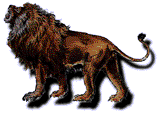 image/Barbary Lion